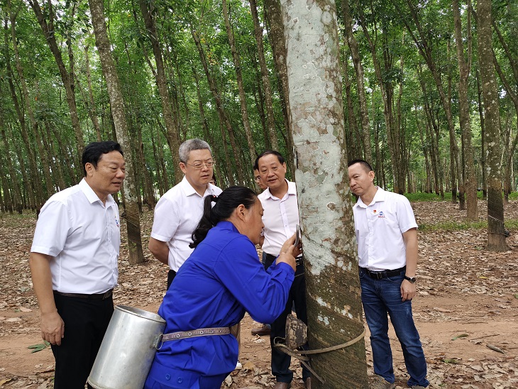 中国·KY开元(集团)股份有限公司-官方网站