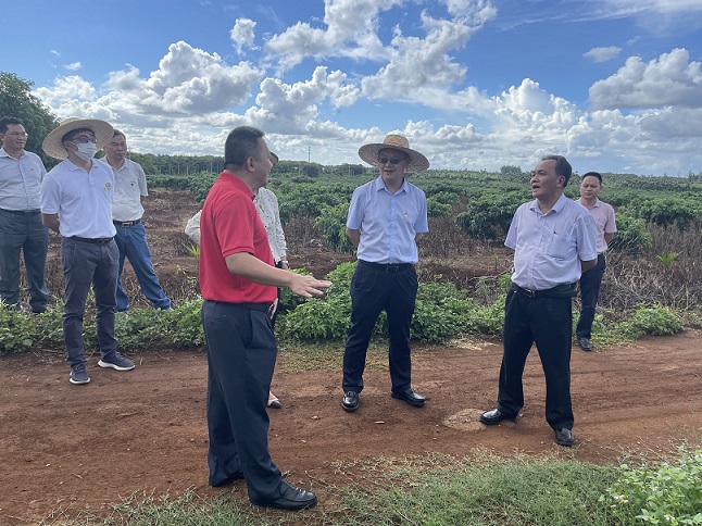 中国·KY开元(集团)股份有限公司-官方网站