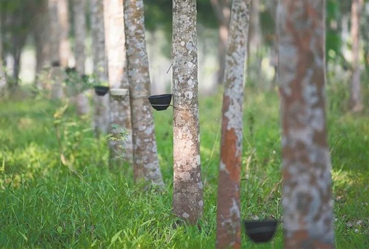 中国·KY开元(集团)股份有限公司-官方网站