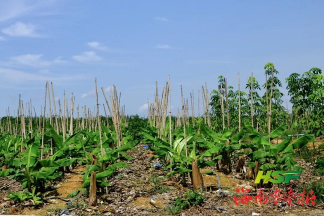 中国·KY开元(集团)股份有限公司-官方网站