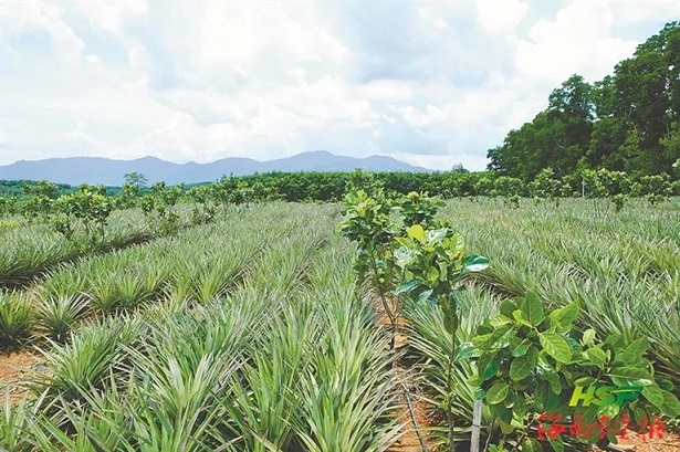 中国·KY开元(集团)股份有限公司-官方网站