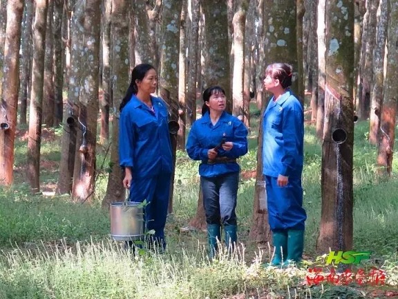 中国·KY开元(集团)股份有限公司-官方网站