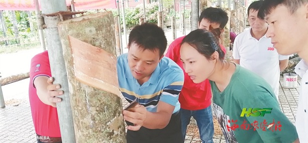 中国·KY开元(集团)股份有限公司-官方网站