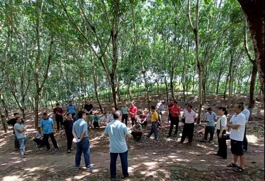 中国·KY开元(集团)股份有限公司-官方网站