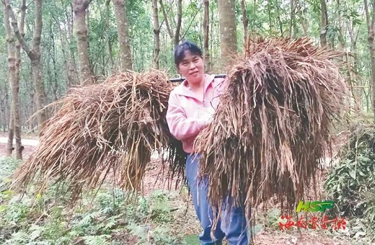 中国·KY开元(集团)股份有限公司-官方网站