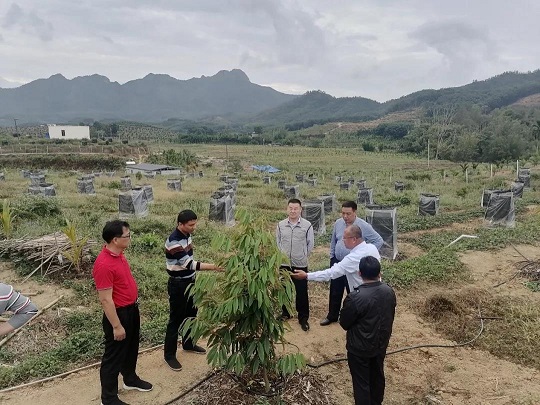 中国·KY开元(集团)股份有限公司-官方网站