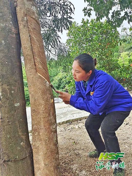 中国·KY开元(集团)股份有限公司-官方网站