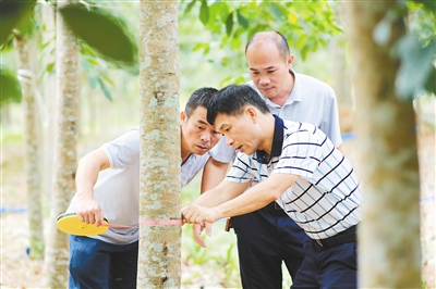 中国·KY开元(集团)股份有限公司-官方网站