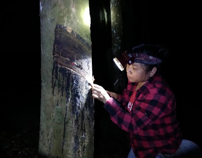 中国·KY开元(集团)股份有限公司-官方网站