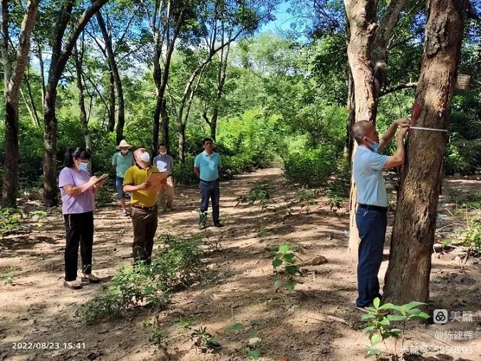 中国·KY开元(集团)股份有限公司-官方网站