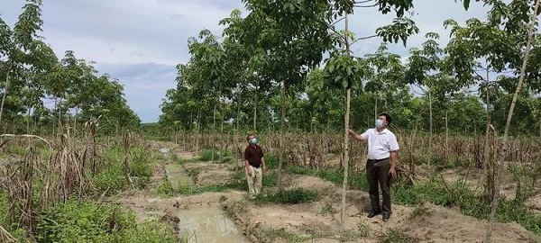 中国·KY开元(集团)股份有限公司-官方网站