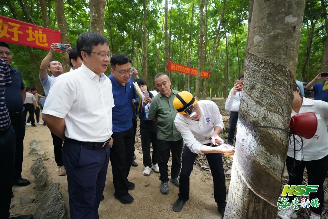 中国·KY开元(集团)股份有限公司-官方网站