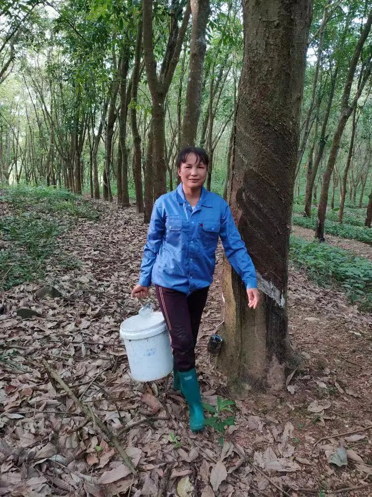 中国·KY开元(集团)股份有限公司-官方网站