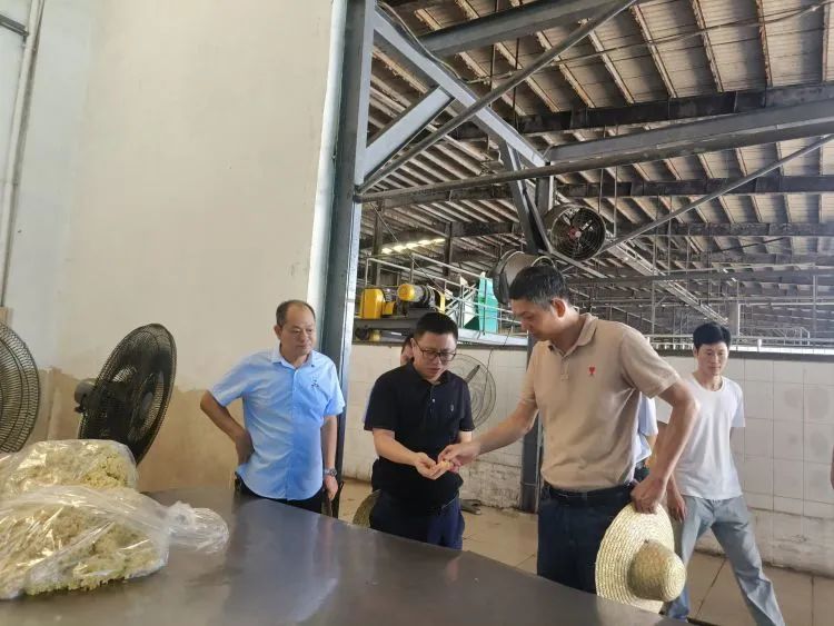 中国·KY开元(集团)股份有限公司-官方网站