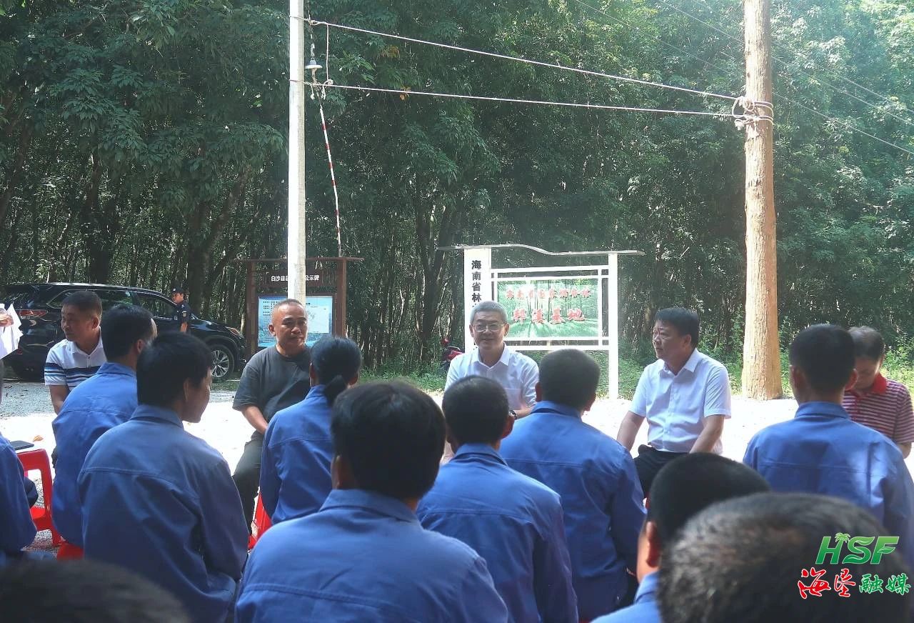 艾轶伦一行人在Ky开元集团国溪分公司国溪派驻组十六队胶林里与胶工座谈